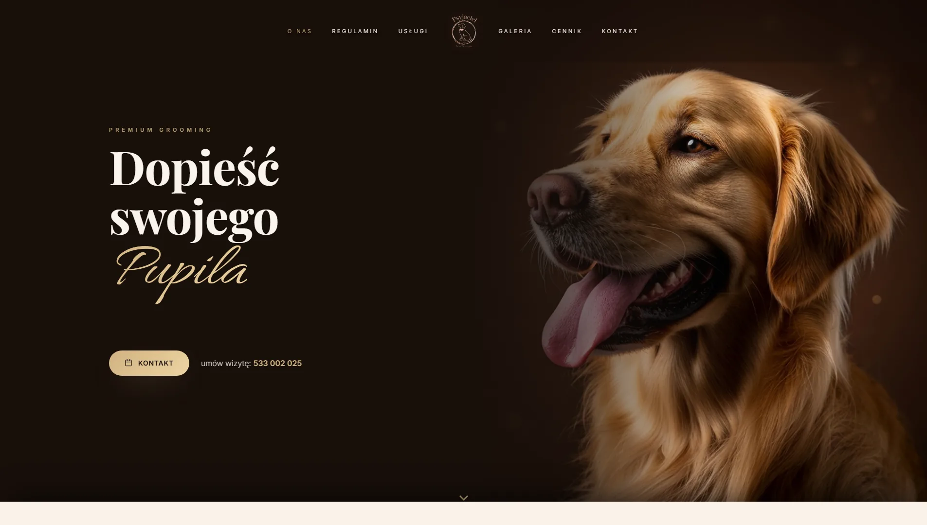 Psyjaciel Studio — premium grooming dla zwierząt