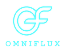 OmniFlux – agencja stron www